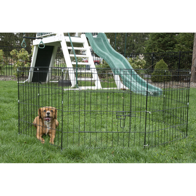 Iconic Pet 24" 8 Panel Portable Wire Dog/Cat Pen Wayfair